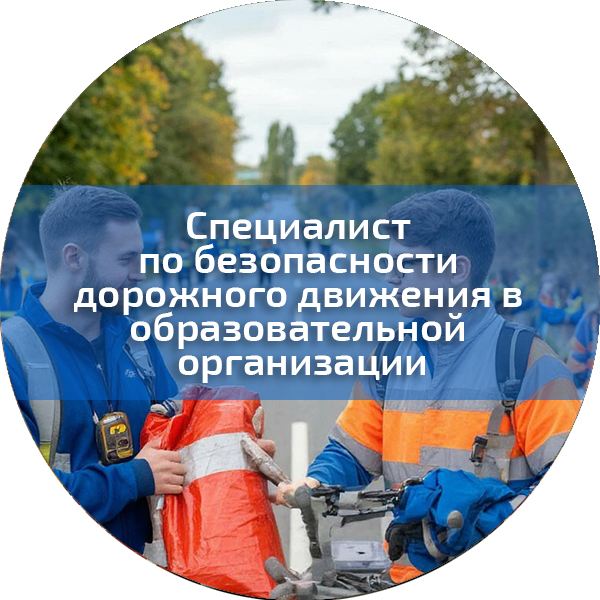 Специалист по безопасности дорожного движения в образовательной организации. Безопасность дорожного движения
