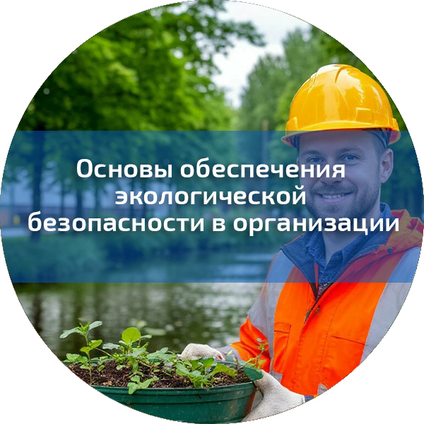 Основы обеспечения экологической безопасности в организации. Экологическая безопасность