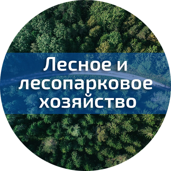 Лесное и лесопарковое хозяйство (НК). Геодезия