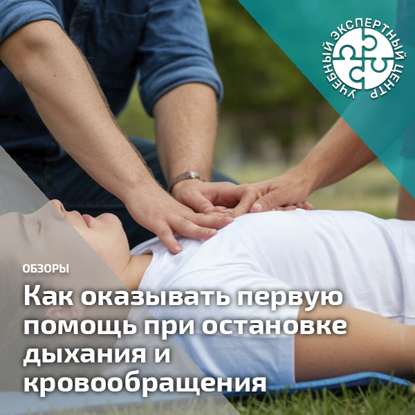 Как оказывать первую помощь при остановке дыхания и кровообращения. Справочник СОТ