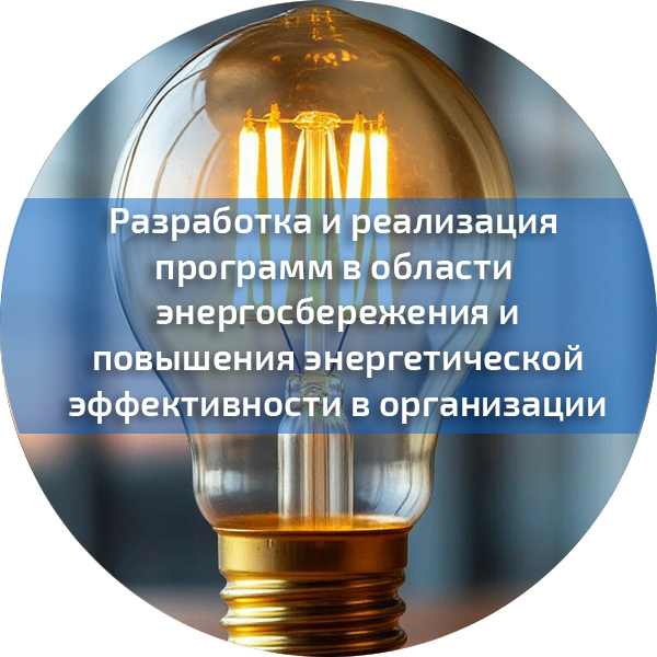 Разработка и реализация программ в области энергосбережения и повышения энергетической эффективности в организации. Энергетическая безопасность