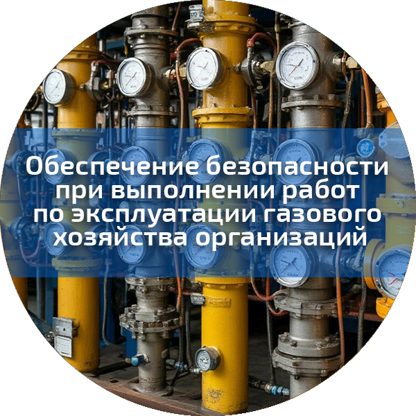 Обеспечение безопасности при выполнении работ по эксплуатации газового хозяйства организаций. Безопасность строительного производства