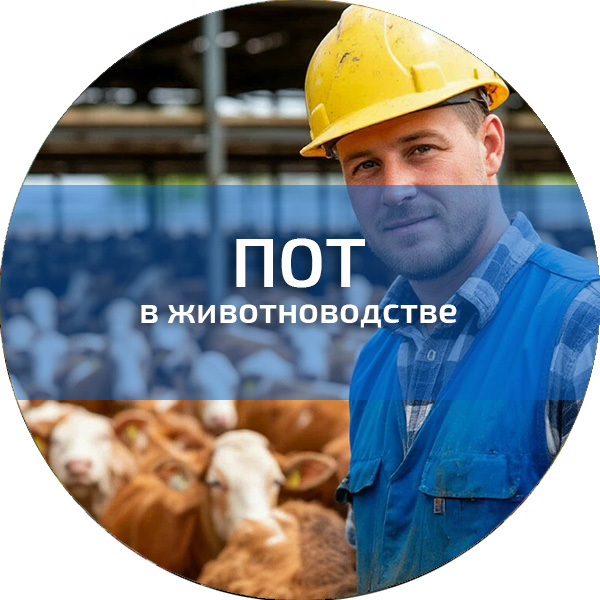 ПОТ в животноводстве. Обучение по ПОТ