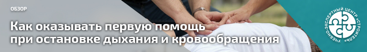 Как оказывать первую помощь при остановке дыхания и кровообращения. Справочник СОТ